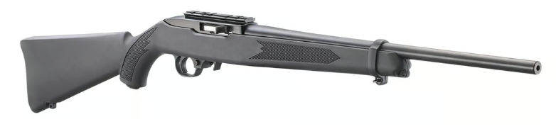 Ruger 10/22 22LR